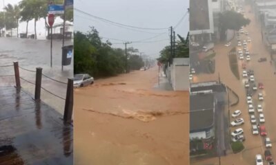 1News Brasil