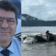 1News Brasil