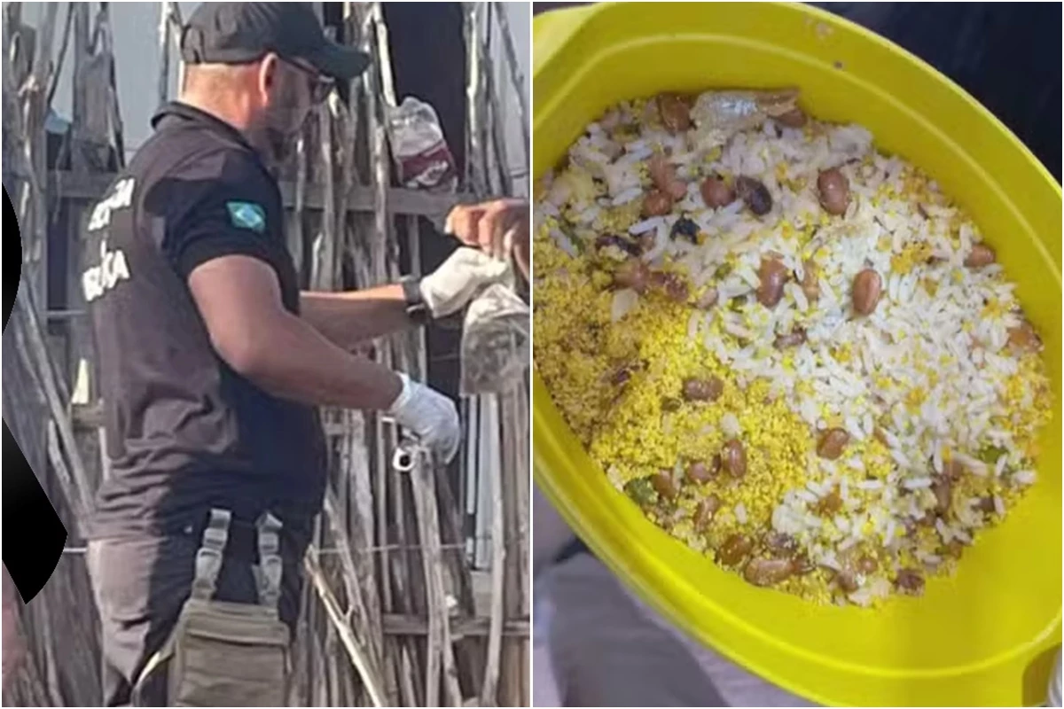 Laudo confirma qual era o veneno e em que alimento ele estava após 3 óbitos em família do Piauí 31 1News Brasil