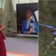 1News Brasil