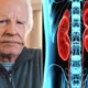 Saiba o que e insuficiencia renal cronica situacao que tirou.webp
