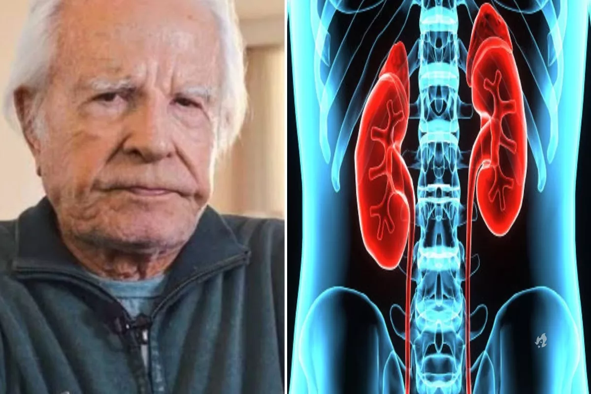 Saiba o que e insuficiencia renal cronica situacao que tirou.webp