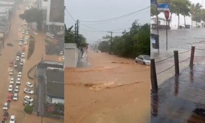 1News Brasil