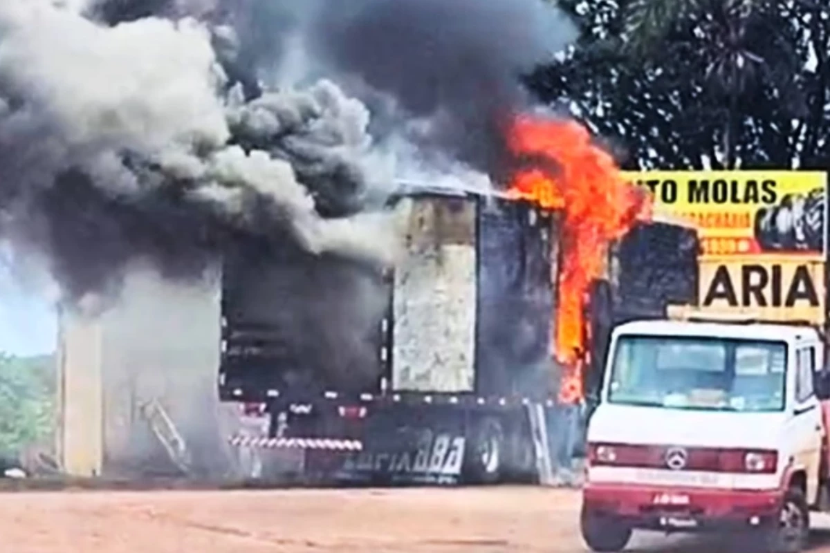 Vídeo mostra desespero de motorista de caminhão em chamas tentando recuperar parte da carga do veículo 31 1News Brasil