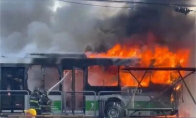 1News Brasil