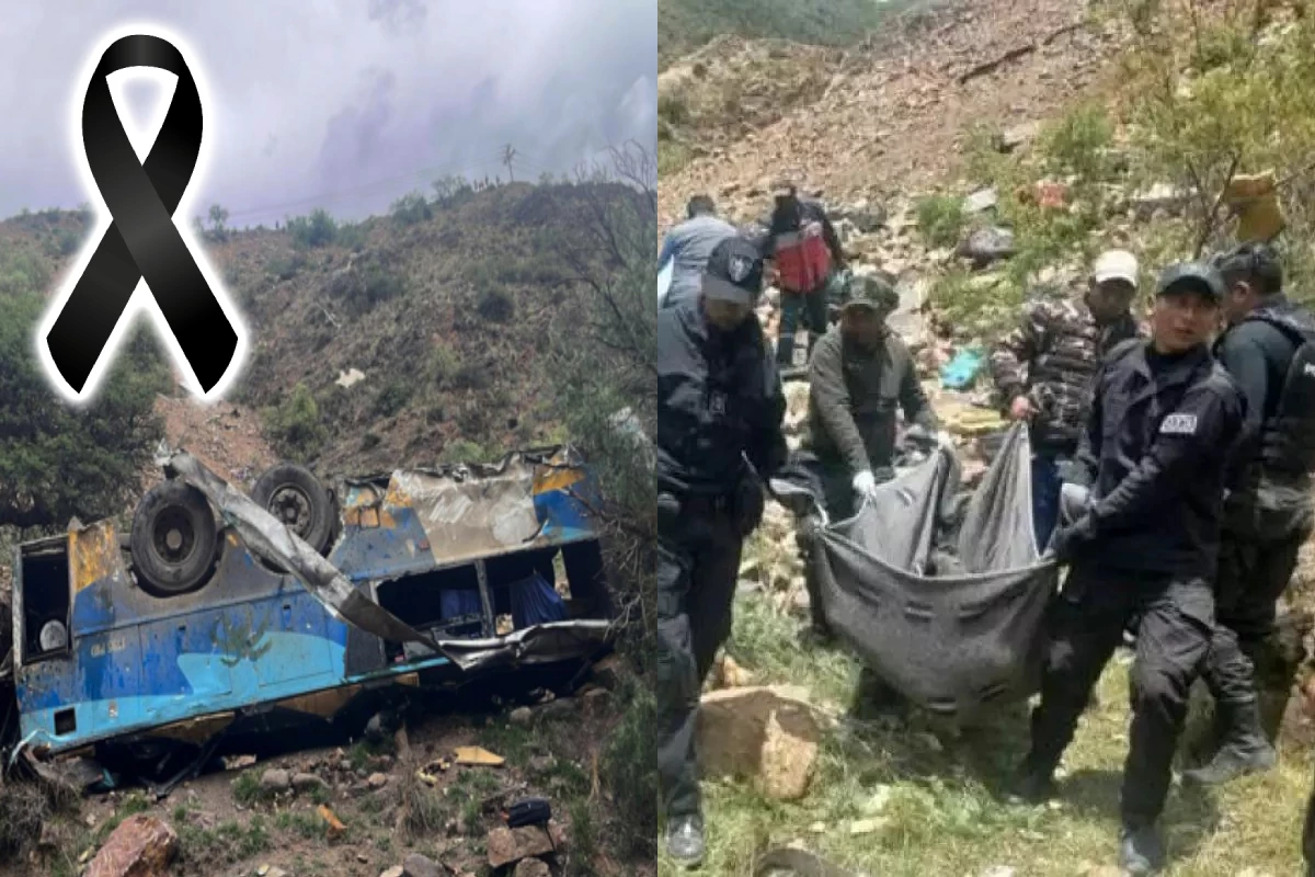 ônibus cai em abismo de 800 metros; mortes são confirmadas 31 1News Brasil