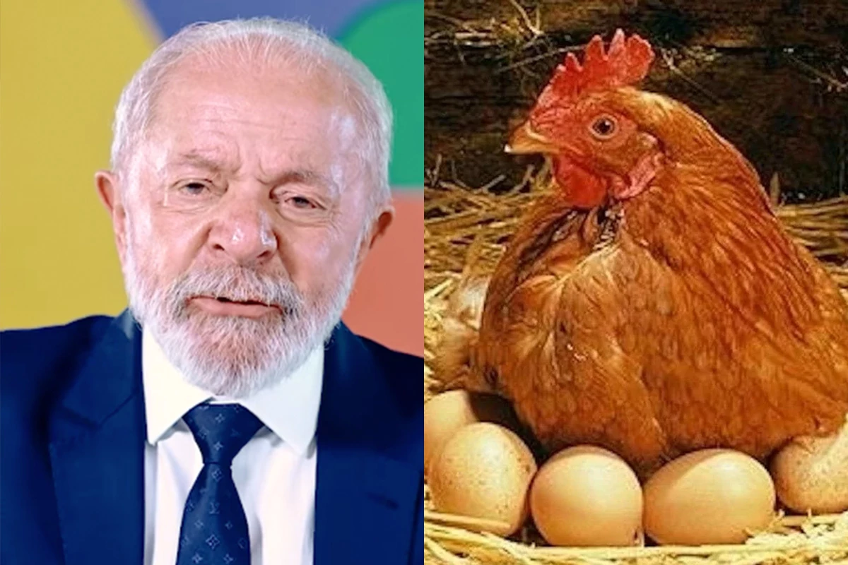 1News Brasil