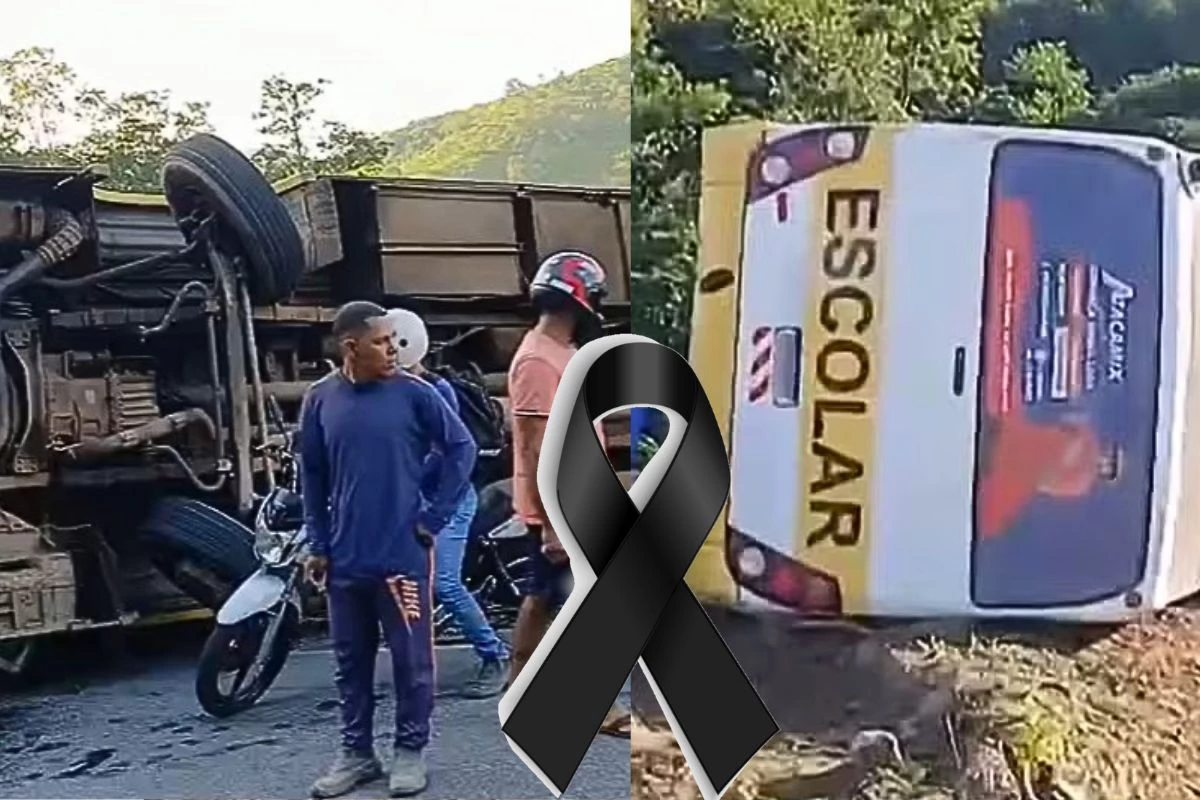 acidente com ônibus escolar deixa dois estudantes mortos e dezenas de feridos 31 1News Brasil