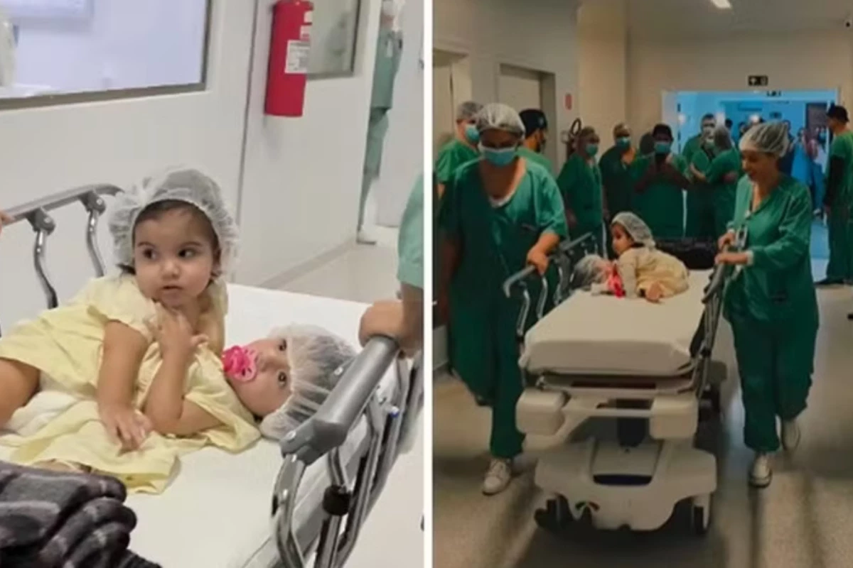 Após 19 horas de cirurgia, siamesa Kiraz morre em GO e web lamenta ocorrido: ‘Que dor. Por que Jesus?’ 31 1News Brasil