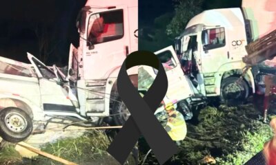 1News Brasil
