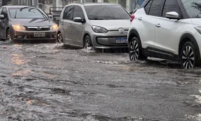 Chuva causa alagamentos e quedas de arvores em Natal.webp