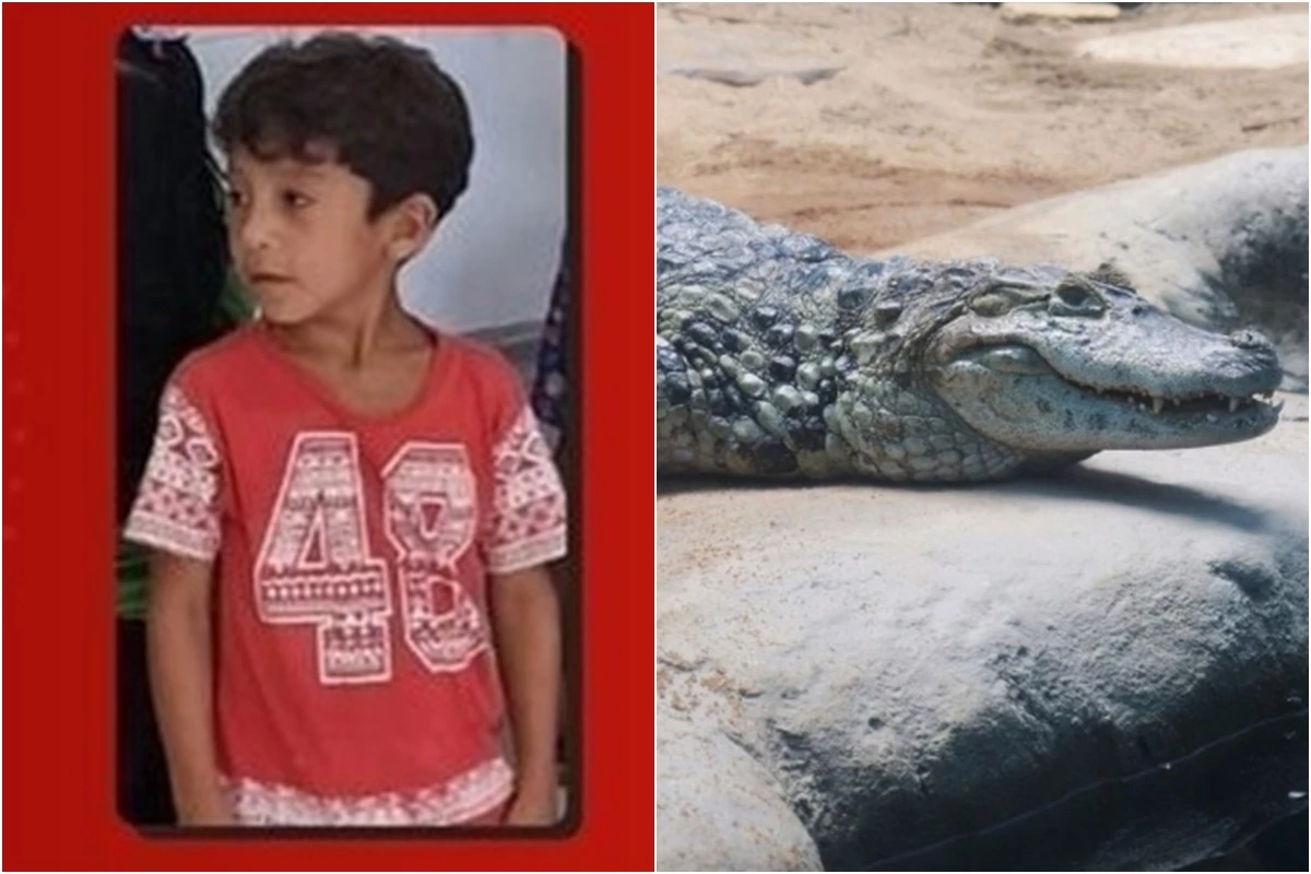 Corpo de menino de 7 anos que estava desaparecido é encontrado; jacaré teria atacado e matado a criança 31 1News Brasil