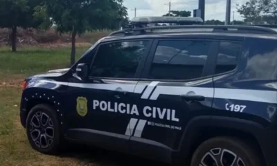 Homem mata cachorro com paulada para proteger filho de.webp