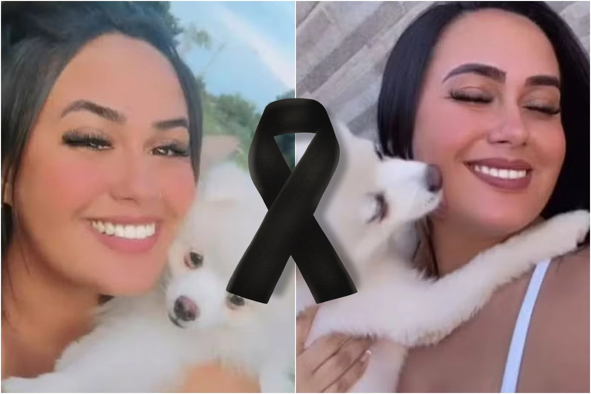 Homem promete tirar o que ex mais amava e mata cachorrinho na frente dela 31 1News Brasil