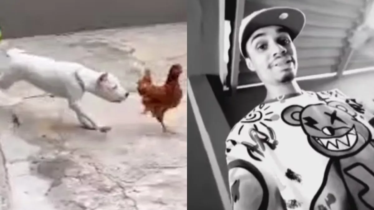 Influenciador e preso por maus tratos apos jogar galinhas vivas.webp