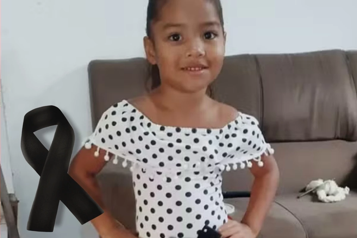 Mãe e filha sobrevivem a capotamento, mas são atropeladas logo em seguida; menina não resistiu 31 1News Brasil