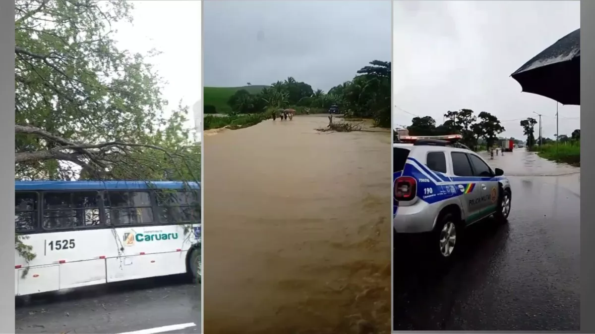 Pernambuco tem alagamentos e queda de arvores aulas foram.webp