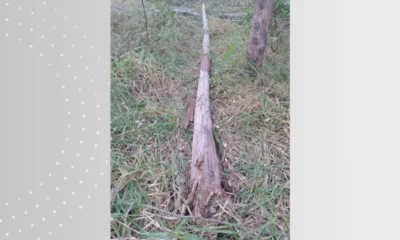 Trabalhador de 34 anos morre ao ser atingido na.webp