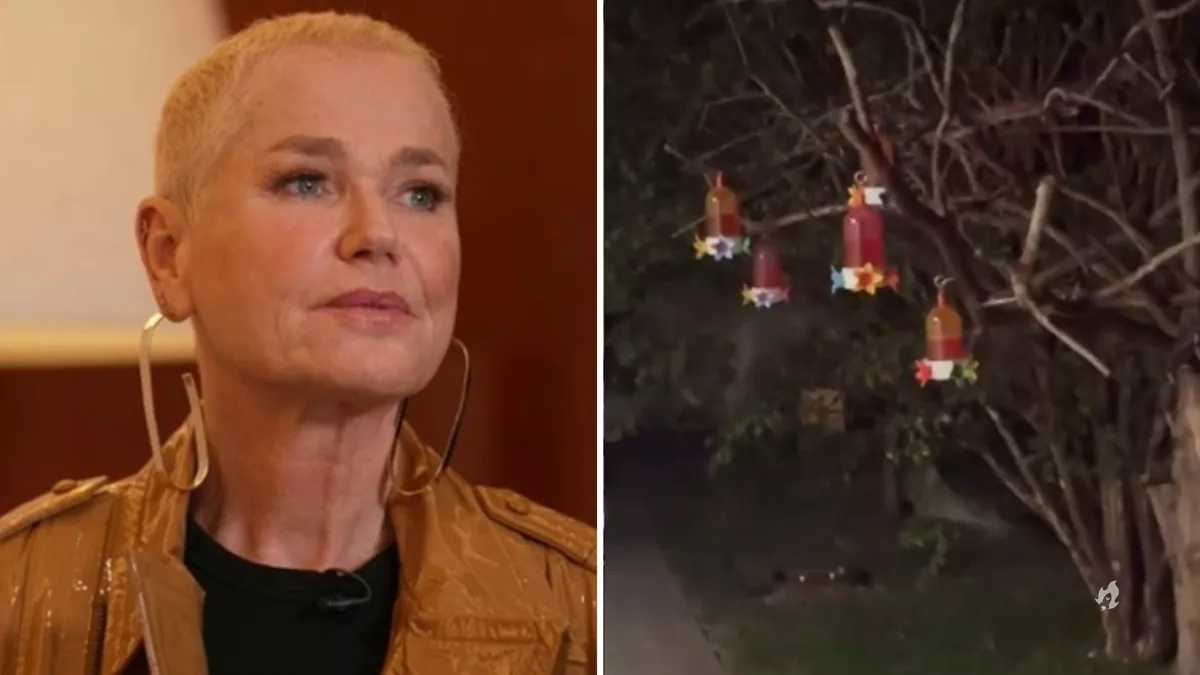 Xuxa chama atencao ao cuidar e alimentar morcegos em.webp