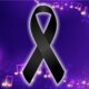 1News Brasil