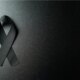 1News Brasil
