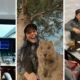 Apos anuncio de termino Katy Perry compartilha fotos na.webp