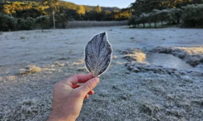 Bom Jardim da Serra SC registra sensacao termica de 10°C.webp