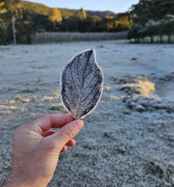 Bom Jardim da Serra SC registra sensacao termica de 10°C.webp