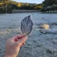 Bom Jardim da Serra SC registra sensacao termica de 10°C.webp