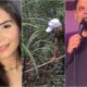 1News Brasil