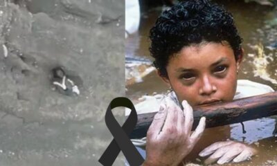 1News Brasil