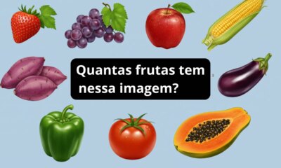 1News Brasil
