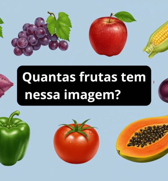 1News Brasil