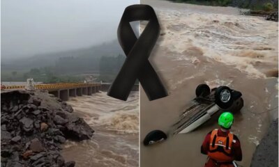1News Brasil