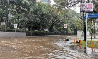 chuva retorna ao estado no ultimo fim de semana de.webp