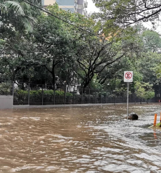 chuva retorna ao estado no ultimo fim de semana de.webp