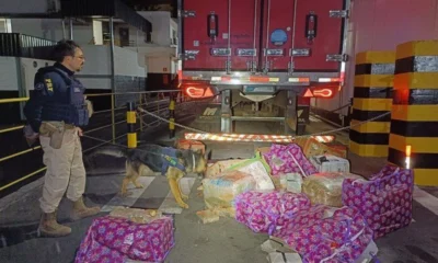 Homem e preso apos transportar 400 kg de maconha.webp