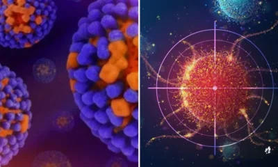 Virus da Covid e da gripe podem acordar celulas cancerigenas.webp