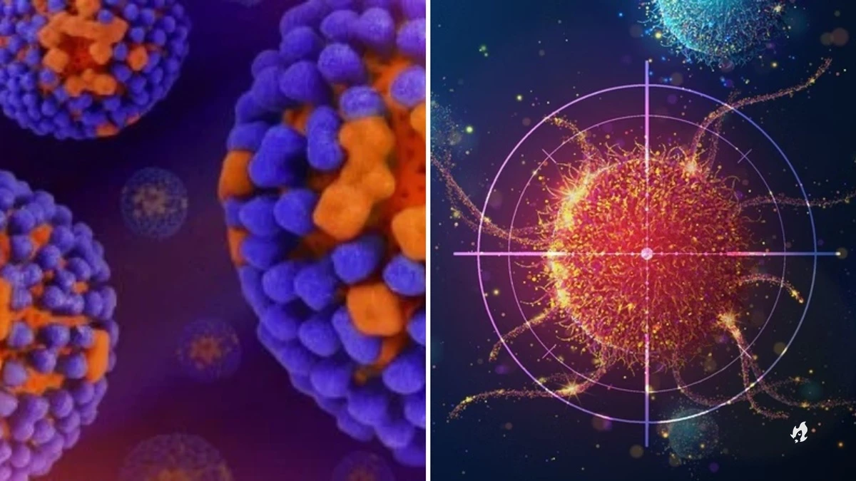 Vírus da Covid e da gripe podem “acordar” células cancerígenas, entenda 31 Virus da Covid e da gripe podem acordar celulas cancerigenas.webp